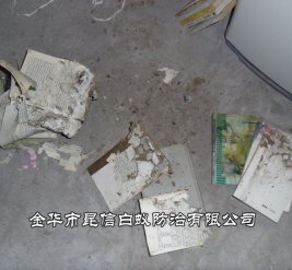 白蚁防治