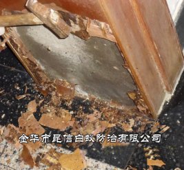 白蚁防治