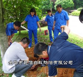 白蚁防治