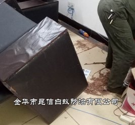 白蚁防治