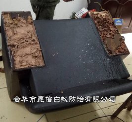 白蚁防治