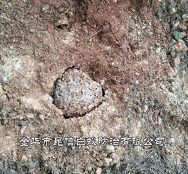 白蚁防治