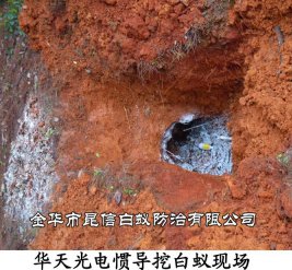 华天光电惯导挖白蚁现场