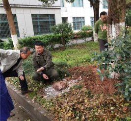 金华市广播电视大学施工现场图