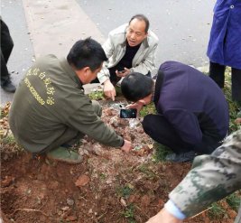 金华市广播电视大学施工现场图