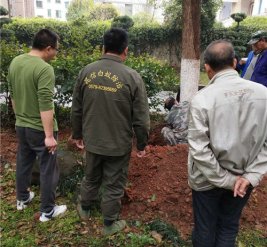 金华市广播电视大学施工现场图