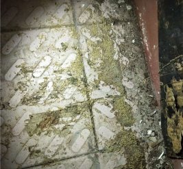 私人住宅白蚁防治施工现场图