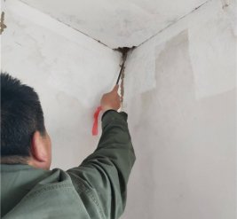 浙江省茶业达股份有限公司施工现场图