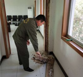 浙江省茶业达股份有限公司施工现场图