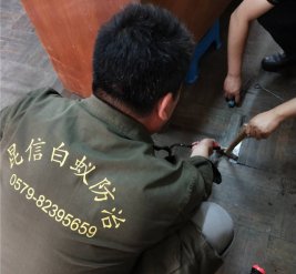 白蚁防治现场